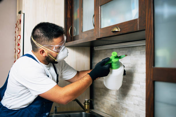 Best Mosquito Control Services  in Granite Falls, WA