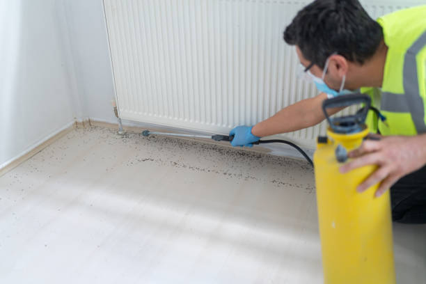  Granite Falls, WA Pest Control Pros